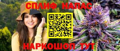 мдпв Партизанск