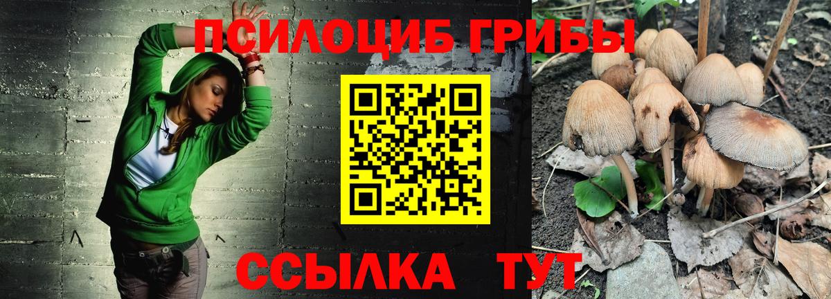 Псилоцибиновые грибы MAGIC MUSHROOMS Симферополь