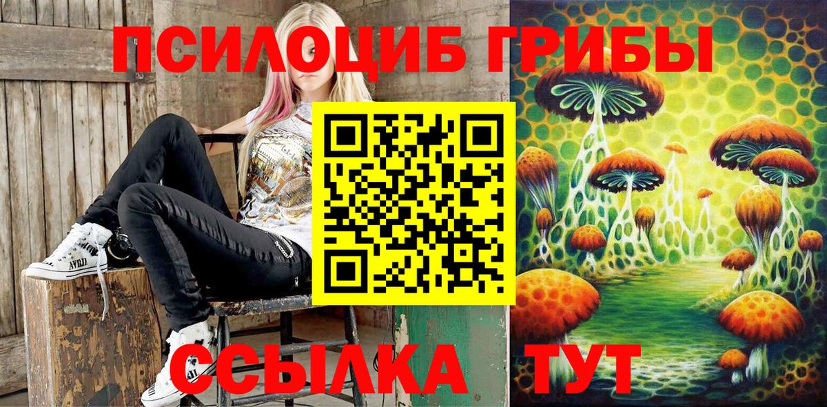 купить наркотики цена  Вход с VPN  Симферополь  Галлюциногенные грибы Cubensis 
